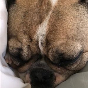 Meet your Posher, Martha